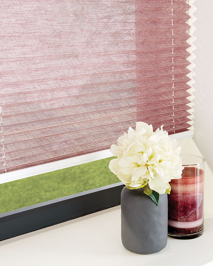 Eldeberry Open Cameo pleated blinds
